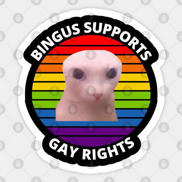 Bingus My Beloved Sphinx Cat Meme Bingus My Beloved Meme Sticker Teepublic 